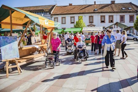 Občina na prostem (11)